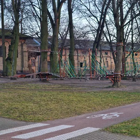 W Centrum Daire
